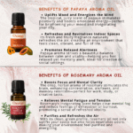 Aroma Bloom Diffuser Fragrance (Pack of 6) by OXIZUN (2)