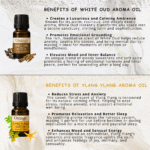 Aroma Bloom Diffuser Fragrance (Pack of 6) by OXIZUN (3)