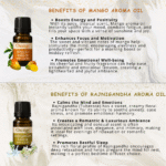 Aroma Bloom Diffuser Fragrance (Pack of 6) by OXIZUN (4)