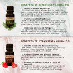 Aroma Symphony Diffuser Fragrance (Pack of 6) by OXIZUN (2)