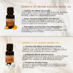 Aroma Symphony Diffuser Fragrance (Pack of 6) by OXIZUN (3)