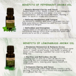 Aroma Symphony Diffuser Fragrance (Pack of 6) by OXIZUN (4)
