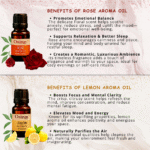 Aromatique Diffuser Fragrance (Pack of 6) BY OXIZUN (2)