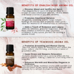 Earthy Aromas Diffuser Fragrance (Pack of 6) by OXIZUN (2)