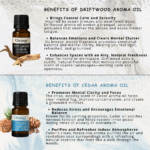 Earthy Aromas Diffuser Fragrance (Pack of 6) by OXIZUN (3)